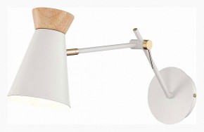 Бра EVOLUCE Alfeo SLE1252-501-01 в Камышлове - kamyshlov.mebel24.online | фото