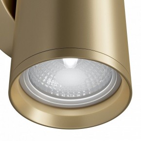Бра Maytoni Focus S C068WL-02MG в Камышлове - kamyshlov.mebel24.online | фото 4