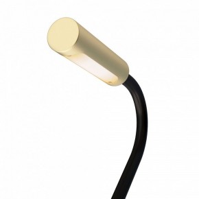 Бра Maytoni Stem C035WL-L3MG3K в Камышлове - kamyshlov.mebel24.online | фото 6