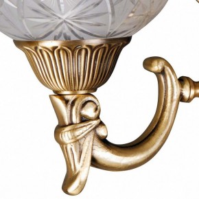 Бра MW-Light Афродита 2 317021902 в Камышлове - kamyshlov.mebel24.online | фото 5