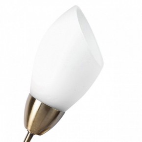 Бра MW-Light Нежность 7 356023001 в Камышлове - kamyshlov.mebel24.online | фото 2