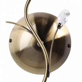 Бра MW-Light Нежность 7 356023001 в Камышлове - kamyshlov.mebel24.online | фото 3