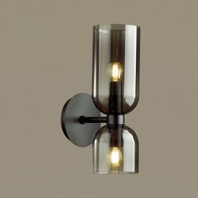Бра Odeon Light Orinoco 4804/2W в Камышлове - kamyshlov.mebel24.online | фото 2
