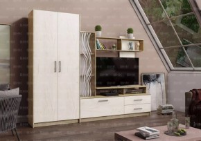 ДАРЬЯ Гостиная (Крафт серый/Крафт белый) в Камышлове - kamyshlov.mebel24.online | фото