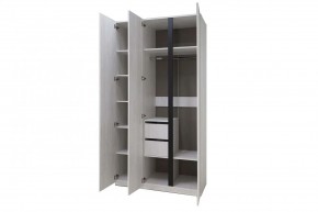 ДЕЛИ 3 Шкаф 3-х створчатый в Камышлове - kamyshlov.mebel24.online | фото 6