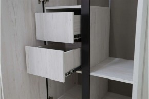 ДЕЛИ 3 Шкаф 3-х створчатый в Камышлове - kamyshlov.mebel24.online | фото 7