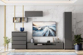 ДЕНВЕР Пенал (Графит серый) в Камышлове - kamyshlov.mebel24.online | фото 4