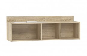 Детская Фанк Полка НМ 011.38-01 M1 в Камышлове - kamyshlov.mebel24.online | фото 2