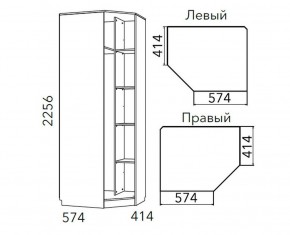 Детская Фанк Шкаф угловой Левый/Правый НМ 013.04-02 М в Камышлове - kamyshlov.mebel24.online | фото 3