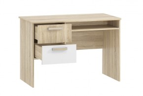 Детская Фанк Стол для компьютера НМ 009.19-05 М2 в Камышлове - kamyshlov.mebel24.online | фото 2
