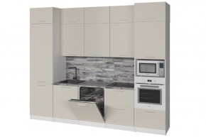 ДЮНА Кухонный гарнитур Экстра 2 (3000 мм) в Камышлове - kamyshlov.mebel24.online | фото 5