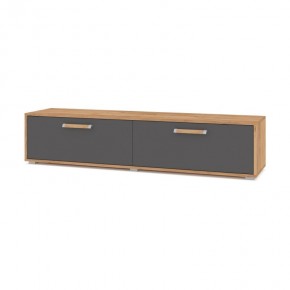ФЛОРИДА Ф31 Тумба ТВ (дуб золотой/графит) в Камышлове - kamyshlov.mebel24.online | фото