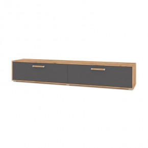 ФЛОРИДА Ф32 Тумба ТВ (дуб золотой/графит) в Камышлове - kamyshlov.mebel24.online | фото
