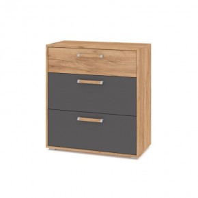 ФЛОРИДА Ф41 Комод (дуб золотой/графит) в Камышлове - kamyshlov.mebel24.online | фото