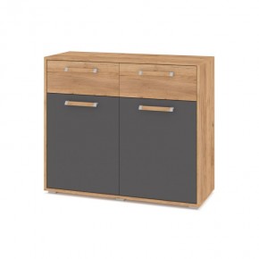 ФЛОРИДА Ф42 Комод (дуб золотой/графит) в Камышлове - kamyshlov.mebel24.online | фото