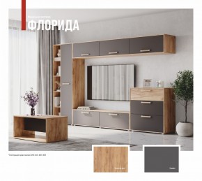ФЛОРИДА Гостиная (модульная) дуб золотой/графит в Камышлове - kamyshlov.mebel24.online | фото