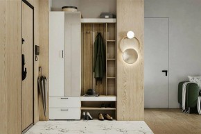 Гарнитур для прихожей Торонто в Камышлове - kamyshlov.mebel24.online | фото 5