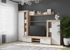 Гостиная Дельта (Сонома/Белый) в Камышлове - kamyshlov.mebel24.online | фото 3