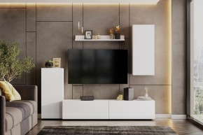 Гостиная МГС 10 (Белый текстурный) в Камышлове - kamyshlov.mebel24.online | фото 1