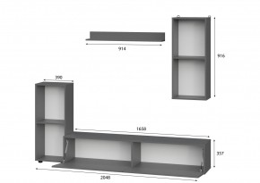 Гостиная МГС 10 (Графит) в Камышлове - kamyshlov.mebel24.online | фото 2