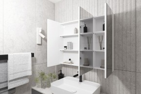 Кларити Шкаф зеркальный 16.312.05 в Камышлове - kamyshlov.mebel24.online | фото 2