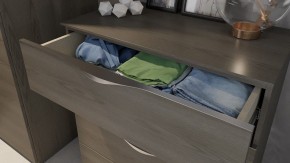 Комод Либерти ТД-297.04.02 в Камышлове - kamyshlov.mebel24.online | фото 4