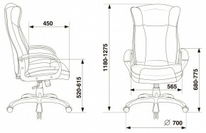 Кресло для руководителя Бюрократ CH-879N в Камышлове - kamyshlov.mebel24.online | фото