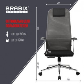 Кресло офисное BRABIX PREMIUM "Ultimate EX-801" хром, плотная двойная сетка Х2, черное/серое, 532918 в Камышлове - kamyshlov.mebel24.online | фото 5