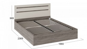 Кровать двуспальная Фьюжн ТД-260.01.04 в Камышлове - kamyshlov.mebel24.online | фото 3