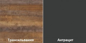 Кухонный гарнитур угловой Трансильвания 2400x1600 мм (Стол. 38 мм) в Камышлове - kamyshlov.mebel24.online | фото 3