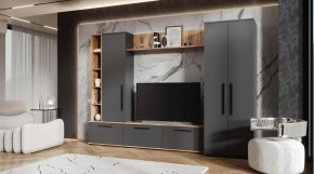ЛЕВАНТЕ Гостиная в Камышлове - kamyshlov.mebel24.online | фото
