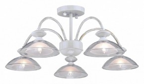 Люстра на штанге Arti Lampadari Noventa Noventa E 1.1.5 W в Камышлове - kamyshlov.mebel24.online | фото