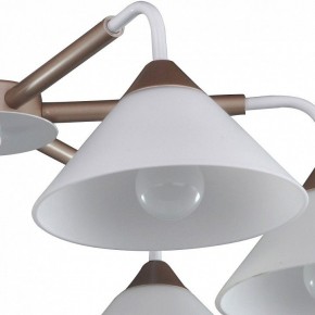 Люстра на штанге Arti Lampadari Ribera Ribera E 1.1.6 CW в Камышлове - kamyshlov.mebel24.online | фото 3