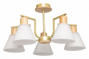 Люстра на штанге De City Дэла 45 635016505 в Камышлове - kamyshlov.mebel24.online | фото