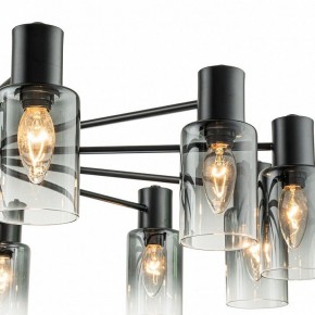 Люстра на штанге Escada Diversity 2120/12P Black в Камышлове - kamyshlov.mebel24.online | фото 6