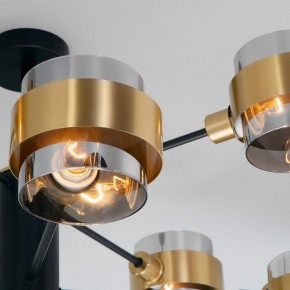 Люстра на штанге Eurosvet Arcada 70127/8 черный/дымчатый в Камышлове - kamyshlov.mebel24.online | фото 5