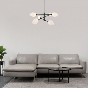Люстра на штанге Eurosvet Sinki 30189/6 черный в Камышлове - kamyshlov.mebel24.online | фото 5