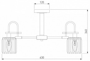 Люстра на штанге Eurosvet Tenia 70090/5 графит в Камышлове - kamyshlov.mebel24.online | фото 4