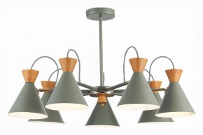Люстра на штанге EVOLUCE Modica SLE125112-07 в Камышлове - kamyshlov.mebel24.online | фото 2