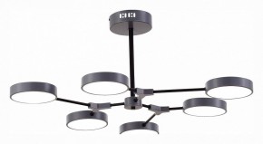 Люстра на штанге EVOLUCE Monta SLE6003-702-06 в Камышлове - kamyshlov.mebel24.online | фото 3