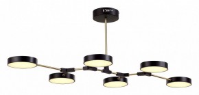 Люстра на штанге EVOLUCE Monta SLE6004-402-06 в Камышлове - kamyshlov.mebel24.online | фото 2