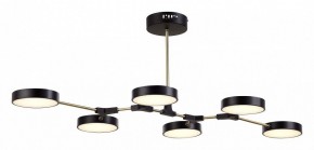Люстра на штанге EVOLUCE Monta SLE6004-402-06 в Камышлове - kamyshlov.mebel24.online | фото 4