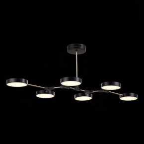 Люстра на штанге EVOLUCE Monta SLE6004-402-06 в Камышлове - kamyshlov.mebel24.online | фото 5