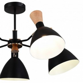 Люстра на штанге EVOLUCE VISTA SLE1256-402-05 в Камышлове - kamyshlov.mebel24.online | фото 10