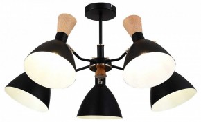 Люстра на штанге EVOLUCE VISTA SLE1256-402-05 в Камышлове - kamyshlov.mebel24.online | фото 6