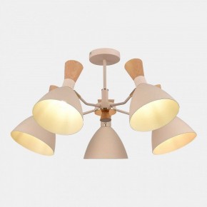 Люстра на штанге EVOLUCE VISTA SLE1256-502-05 в Камышлове - kamyshlov.mebel24.online | фото 5