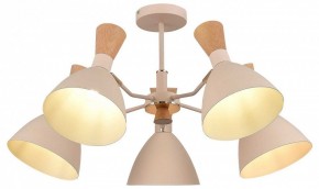 Люстра на штанге EVOLUCE VISTA SLE1256-502-05 в Камышлове - kamyshlov.mebel24.online | фото 6
