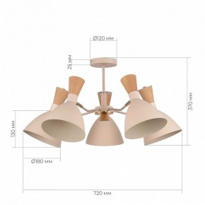 Люстра на штанге EVOLUCE VISTA SLE1256-502-05 в Камышлове - kamyshlov.mebel24.online | фото 8