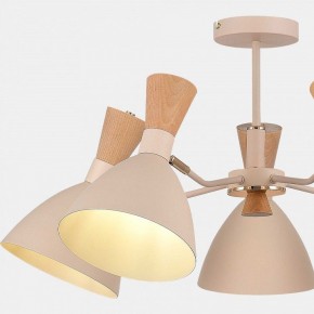 Люстра на штанге EVOLUCE VISTA SLE1256-502-05 в Камышлове - kamyshlov.mebel24.online | фото 9