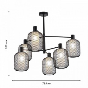 Люстра на штанге F-promo Tokri 4602-6C в Камышлове - kamyshlov.mebel24.online | фото 3
